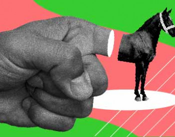 Holacracy: ruoli, upskilling  e gestione del cambiamento