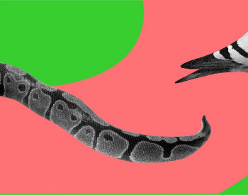 Quali competenze cerca il futuro? Nessuna in particolare, se ci pensi bene