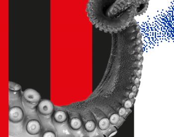 Cosa succederà dopo il virus?