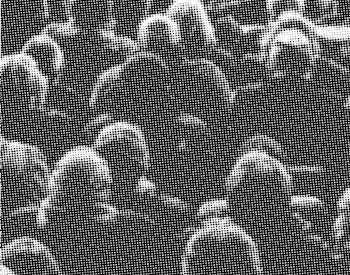 Reinventiamo il concetto di comunità per un mondo in trasformazione