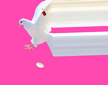 L’Erbolario. Etica e sincerità: due ingredienti irrinunciabili