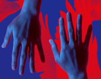 Caro manager, la tua impresa può dissolversi