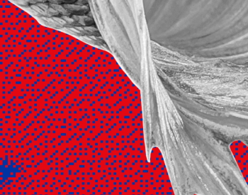 Ciò che non vogliamo: i nuovi divide