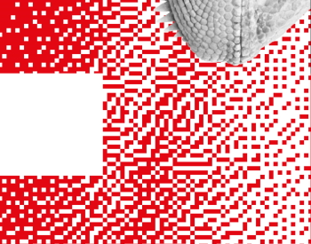 L’ecosistema di relazioni nelle organizzazioni UFO