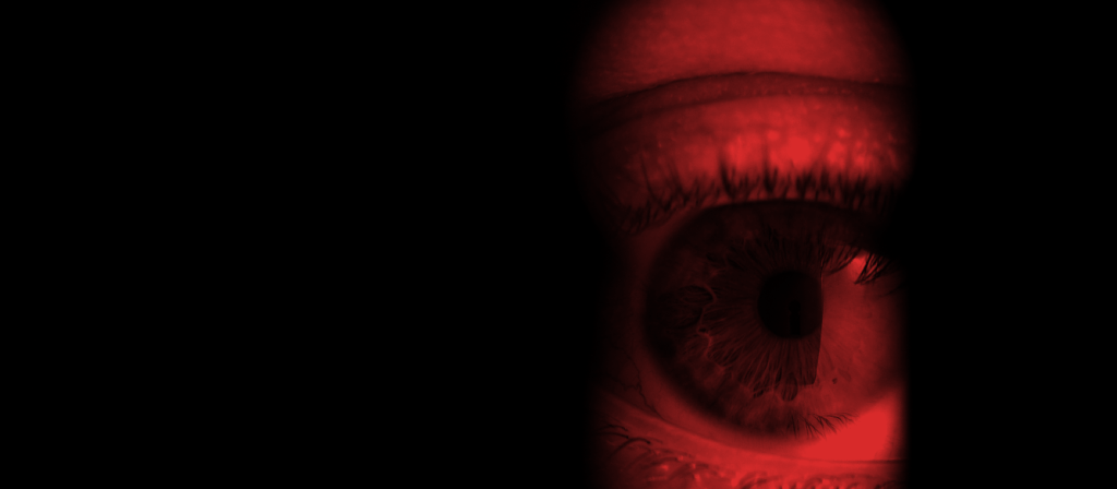 Collaborare con l’oracolo. Competenze di base e sfide cognitive per navigare l’era generativa