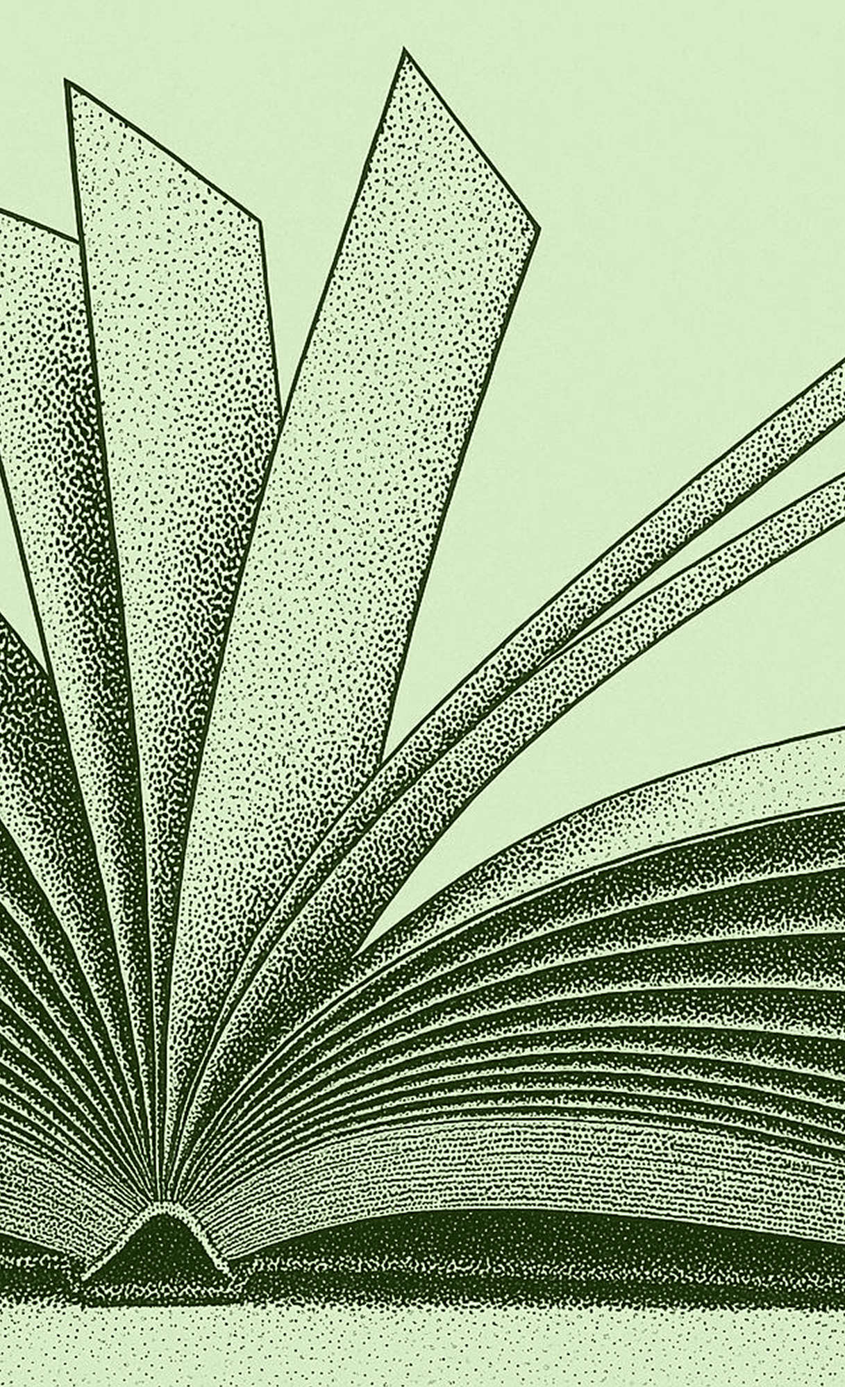 cover picture magazine